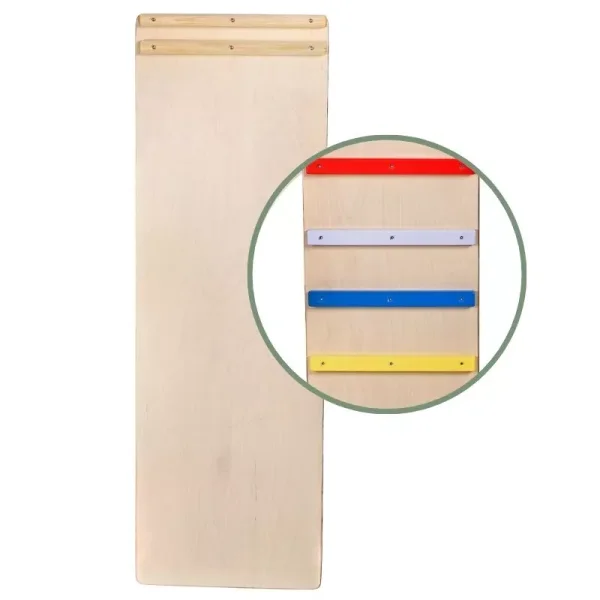 Rutsche/Rutschbrett mit Leiter (2 in 1) - Bunt