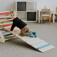 Rutsche/Rutschbrett mit Leiter (2 in 1) - Bunt