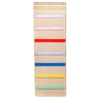 Rutsche/Rutschbrett mit Leiter (2 in 1) - Bunt